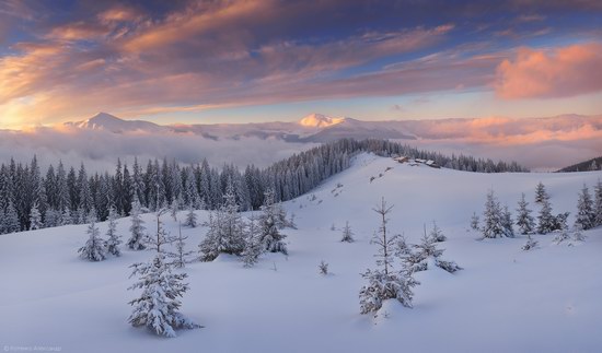 Winter Fairy Tale in the Carpathians, Ukraine, photo 1