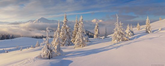 Winter Fairy Tale in the Carpathians, Ukraine, photo 10