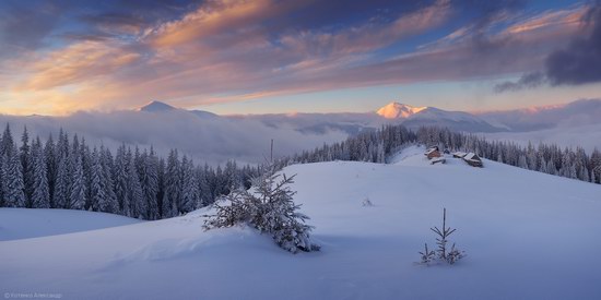 Winter Fairy Tale in the Carpathians, Ukraine, photo 11