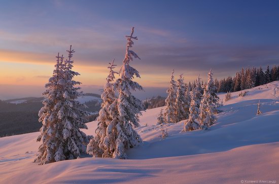 Winter Fairy Tale in the Carpathians, Ukraine, photo 14