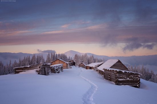 Winter Fairy Tale in the Carpathians, Ukraine, photo 15