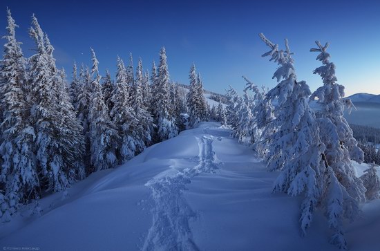 Winter Fairy Tale in the Carpathians, Ukraine, photo 17