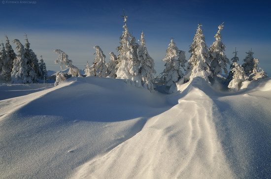 Winter Fairy Tale in the Carpathians, Ukraine, photo 3