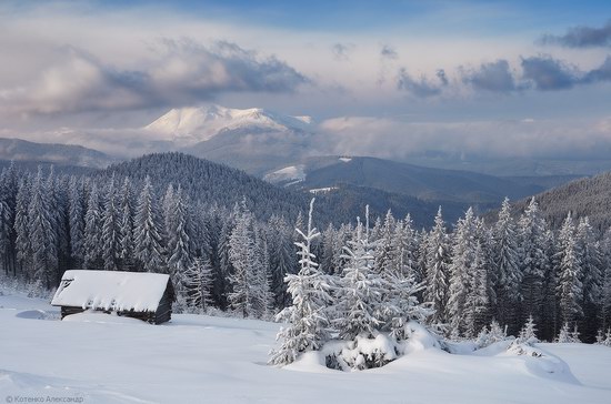 Winter Fairy Tale in the Carpathians, Ukraine, photo 6