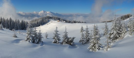 Winter Fairy Tale in the Carpathians, Ukraine, photo 8