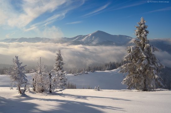 Winter Fairy Tale in the Carpathians, Ukraine, photo 9