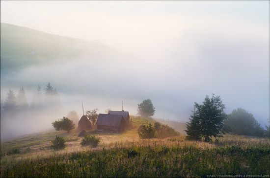 Pastoral Summer Landscapes of Transcarpathia, Ukraine photo 16