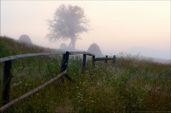 Pastoral Summer Landscapes of Transcarpathia, Ukraine photo 3