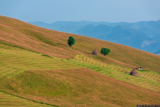 yellow-green-world-carpathians-haymaking