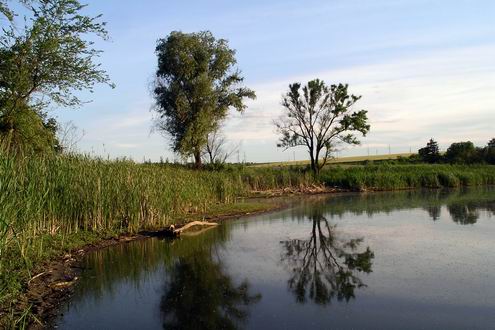 Cherkassy (Cherkasy) Ukraine region (oblast) nature views 2nd photo