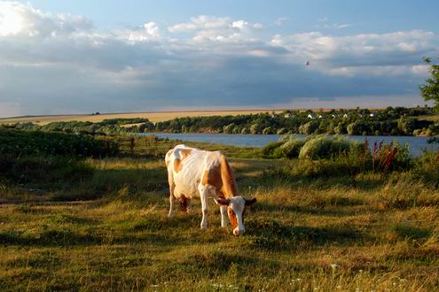 Chernivtsi (Chernovtsy) Ukraine region (oblast) sceneries 3rd photo