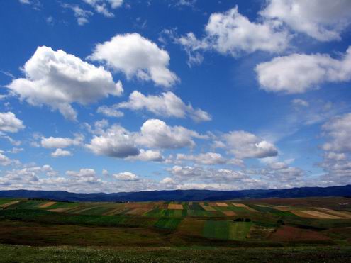 Chernivtsi (Chernovtsy) Ukraine region (oblast) landscapes 4th photo