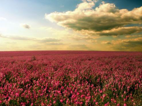 Donetsk Ukraine oblast (region) sceneries 3rd photo