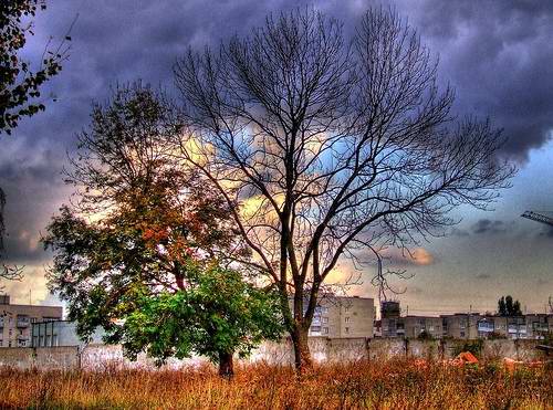 Eastern Ukraine beautiful sceneries 2nd picture