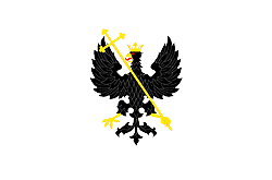 Chernigov city flag