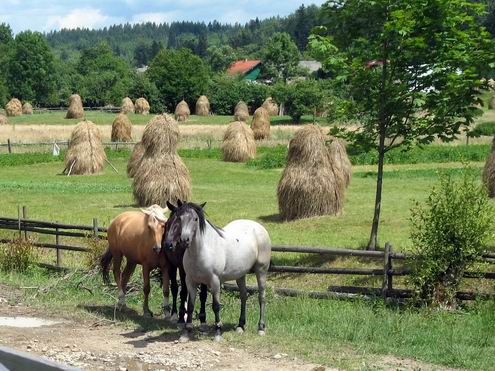 Ivano-Frankivsk (Ivano-Frankovsk) Ukraine region (oblast) sceneries 3rd photo