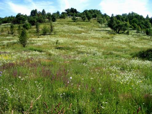 Kharkiv (Kharkov) Ukraine oblast (region) landscapes 1st photo
