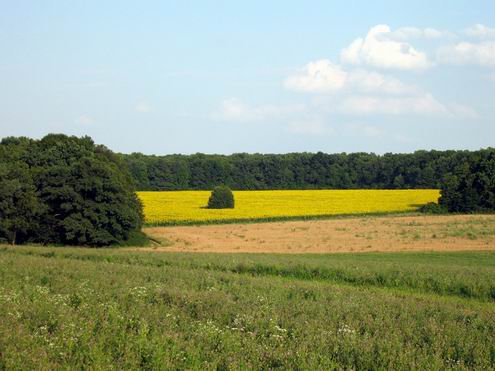 Kharkiv (Kharkov) Ukraine oblast (region) nature views 5th photo