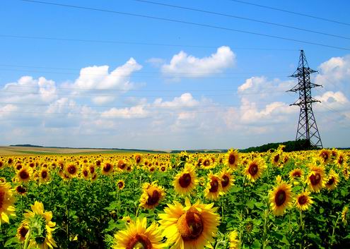 Kharkiv (Kharkov) Ukraine oblast (region) sceneries 6th photo
