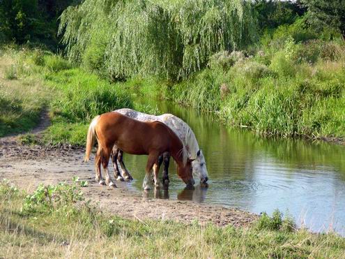 Kharkiv (Kharkov) Ukraine oblast (region) sceneries 8th photo