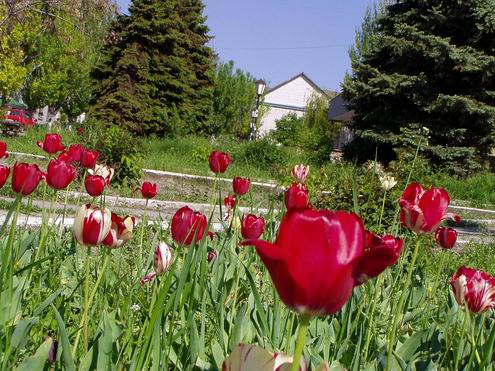 Kherson Ukraine oblast (region) sceneries 3rd photo