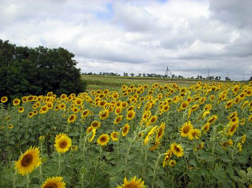 Kirovograd (Kirovohrad) Ukraine region (oblast) views 2nd photo