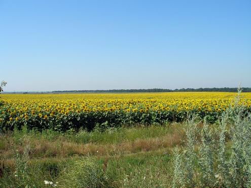 Kirovograd (Kirovohrad) Ukraine region (oblast) landscapes 2nd photo