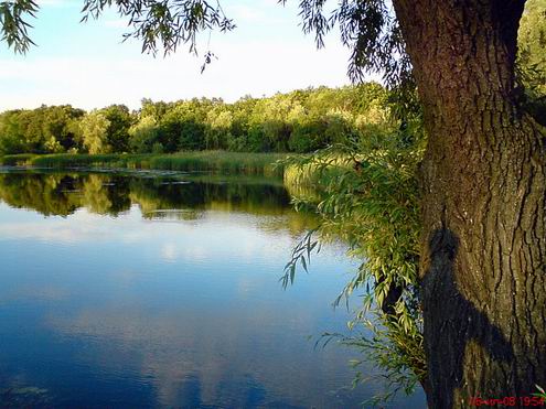 Kirovograd (Kirovohrad) Ukraine region (oblast) views 4th photo