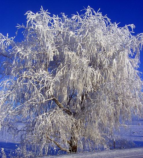 Kirovograd (Kirovohrad) Ukraine region (oblast) sceneries 1st photo