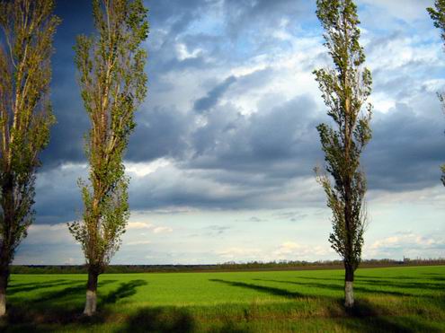 Kirovograd (Kirovohrad) Ukraine region (oblast) landscapes 4th photo
