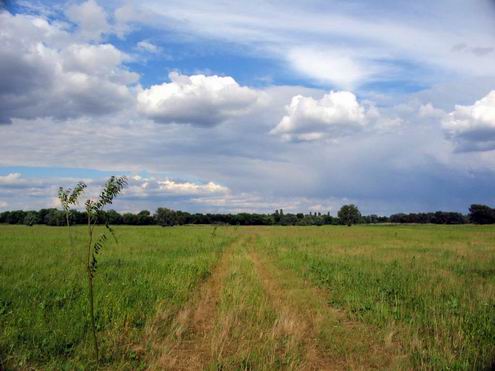 Kirovograd (Kirovohrad) Ukraine region (oblast) landscapes 5th photo