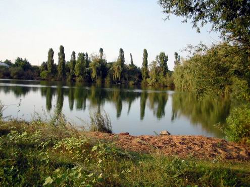 Nikolaev (Mykolaiv) Ukraine oblast (region) nature 2nd photo