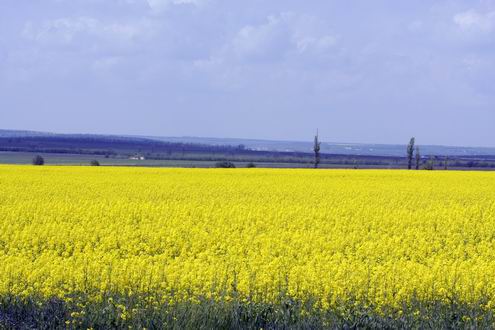 Nikolaev (Mykolaiv) Ukraine oblast (region) views 6th photo