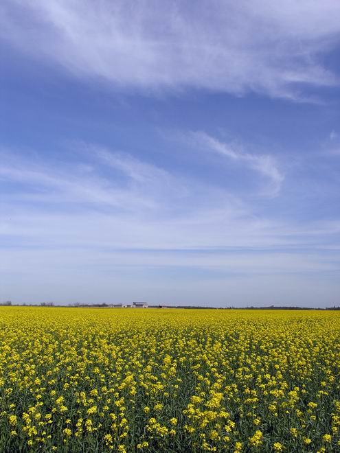 Nikolaev (Mykolaiv) Ukraine oblast (region) sceneries 3rd photo