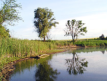 Cherkassy region nature view