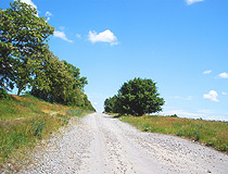 Country road in Cherkasy Oblast