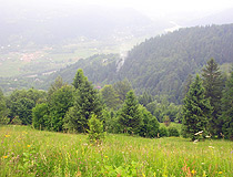 The Bukovina Carpathians in the Chernivtsi region