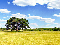 Field in Kherson Oblast