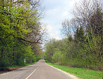 Paved road in Ternopil Oblast