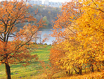Golden autumn in the Vinnytsia region