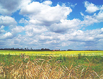 Zhitomir oblast, Ukraine view