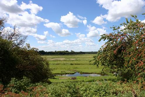 Poltava Ukraine oblast (region) beautiful nature 4th photo