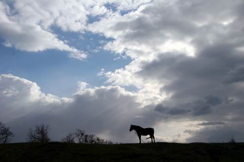 Poltava Ukraine oblast (region) sceneries 8th photo