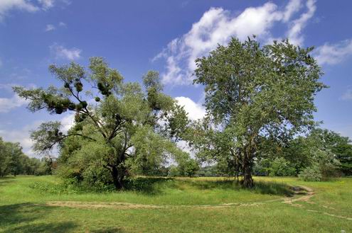 Poltava Ukraine oblast (region) beautiful nature 5th photo