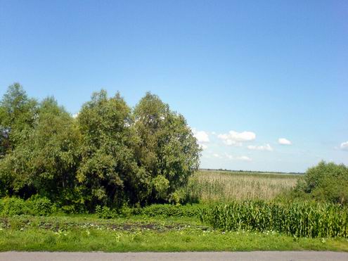 Poltava Ukraine oblast (region) beautiful nature 7th photo