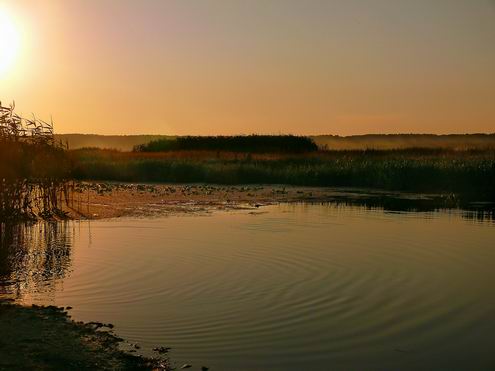 Sumy Ukraine region (oblast) sunset photo