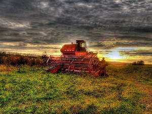 Ukraine economy past - agriculture of the USSR picture