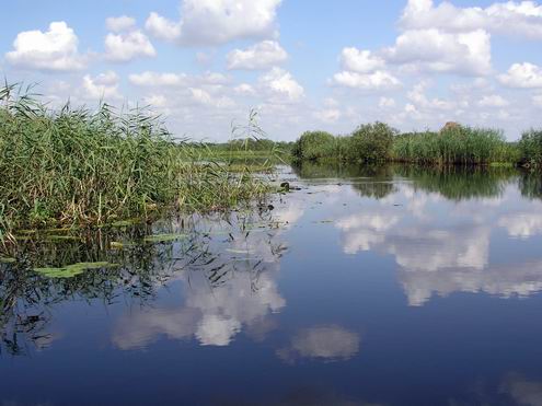 Volyn Ukraine oblast (region) landscapes 4th photo