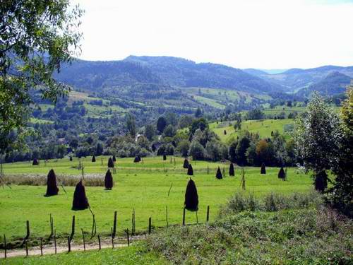 Western Ukraine nature 1st picture
