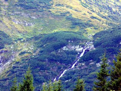 Western Ukraine nature 3rd picture